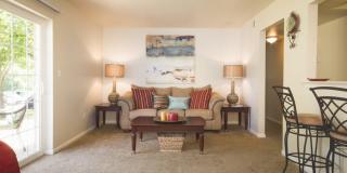 Salem Wood Gallery 3