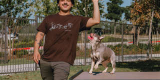 Westloop at the Diamond Interchange Gallery 89