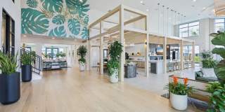 NOVEL Parkway Gallery 50