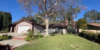 2938 Jacqueline Gallery 1