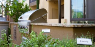 Terrena Apartment Homes Terrena Apartment Homes Gallery 14