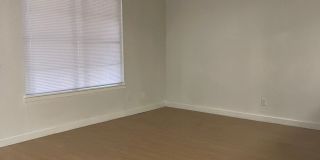 Kensington Court Gallery 36