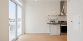 Frances Gallery 17