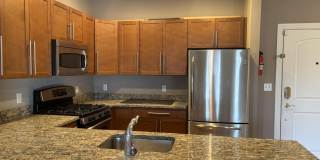 1210 WINDSOR PARK CT Gallery 1