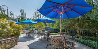 Magnolia at Milton Gallery 15