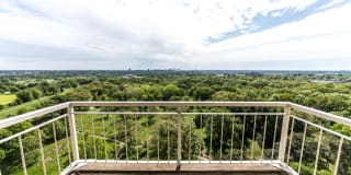 Dorchester Gallery 4