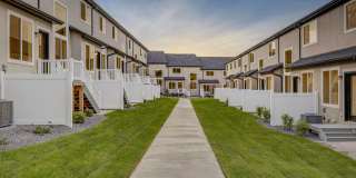 Mt. Rainier Gallery 6