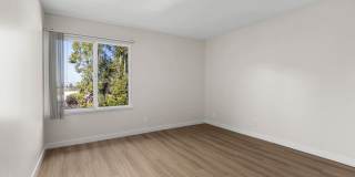 Northpark Gallery 11