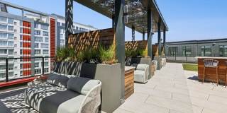 Alta 801 Gallery 26