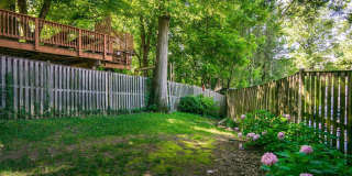 Updated 4 BD, 3.5 BA Stately Colonial on Kalmia RD in NW DC!! Gallery 45