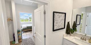 Viva at New Smyrna Beach Gallery 8