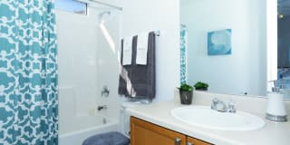 Diamond Vista Gallery 29