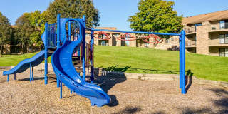 The Woods of Burnsville Gallery 41