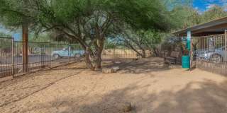 Catalina Crossing Gallery 10