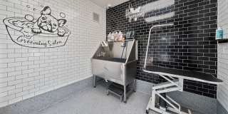 Wilder Apartments Gallery 14