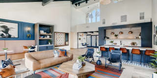 The Harlow Gallery 22