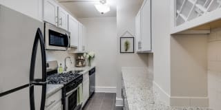 Cathedral Mansions Gallery 1