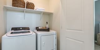 Montgomery at Rancho Mercado Gallery 15