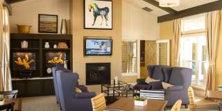 Aventine at Wilderness Hills Gallery 39