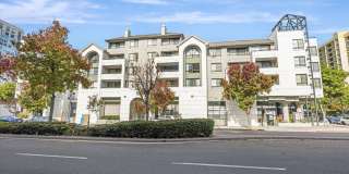 Market Street Square Gallery 13