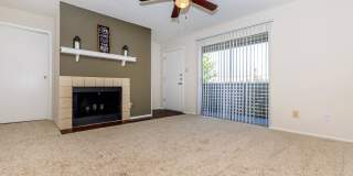 Autumn Wood Gallery 18