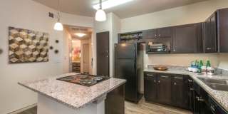 Paladin Apartments Gallery 18