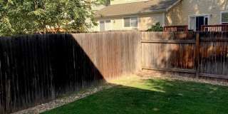 1723 Dove Creek Circle Gallery 12