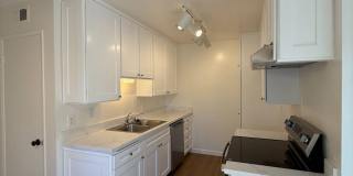 111 W Avenida de los Arboles Gallery 13