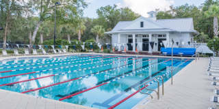 End unit townhome in The Cottages at Oakleaf Plantation Gallery 38