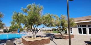 Guard-Gated Cadence | 2 Bed Single-Story Home in 55+ Community | WiFi Included Gallery 32