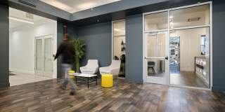 Netherland Gallery 30