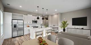 Broadstone Pullman Gallery 43