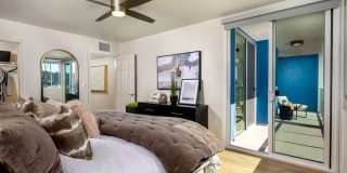 Dolphin Marina Gallery 10