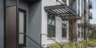 Lector 85 Gallery 30