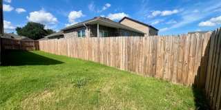 2031 Bluebonnet Lane Gallery 15