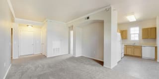 Alexis at Perry Pointe Gallery 59