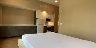 Red Oak at 83 Hanover Street Gallery 41