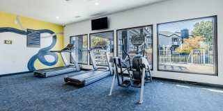 The Jaxon Gallery 16