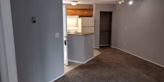 1/1 Condo available on Plaza. Close to Mall at Millenia, Orlando Gallery 5