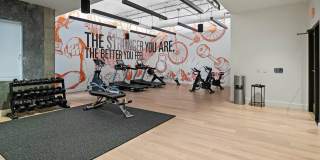 Luna at Viera Gallery 8