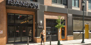 The Sansom Gallery 5