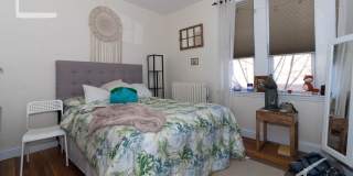 Bright Brookline 4-bed 2-bath with Heat/Hot Water Included! Gallery 6
