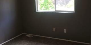 Cute 3 Bedroom House Near Lakeway Gallery 21
