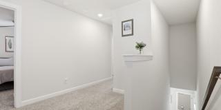2317 Belterra Drive Gallery 14