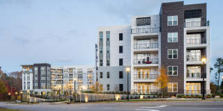 Vine North Hills Gallery 38