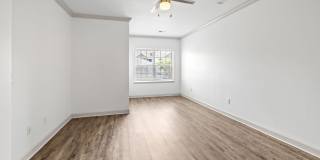 Olympus Carrington Gallery 7