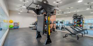 Steeplechase Gallery 15