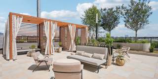 Stella at Star Metals Gallery 4