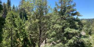 Lake Rights Property!! Terrific Alpine Chalet!! Gallery 11