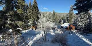 Charming Tahoe Donner Log Cabin with Hot Tub Gallery 3